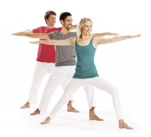 Gruppe Helden Asana Yoga Vidya